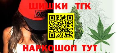 стаф Кингисепп
