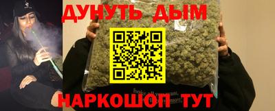 стаф Кингисепп